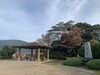 舞鶴引揚記念公園「紅葉をたのしもう！」