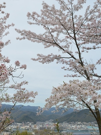 三原の街の景色も満喫できます。