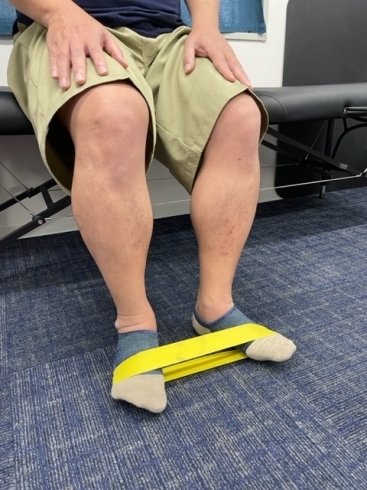 横から見るとこんな感じ。「不安定な足首を安定させる働き「腓骨筋（ひこつきん）」は特に高齢者には重要です。転倒予防の為にも鍛えましょう。」