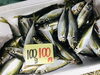 「魚魚市場鮮魚コーナーおすすめは「イサキ」です♪」