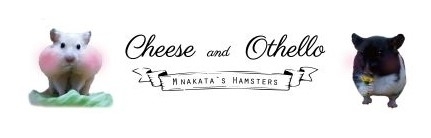 名前をよぶと振り返る おもしろ可愛いハムスターcute Funny Hamster 10 ハムスターが大好きなm Nakataさんの動画です しんじゅくノート 新宿区 名前をよぶと振り返る おもしろ可愛いハムスターcute Funny Hamster 10 ハムスターが大好きなm Nakataさんの動画です しんじゅくノート 新宿区