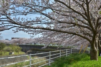 川沿いにあるのもきれいです