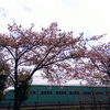 22/100　 『水堂公園』