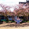 23/100　 『昭和公園』