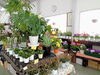 「南魚沼の花屋、フローリストたかの。オープン時間のお知らせと、おすすめの商品。」