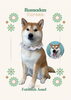 「Dog salon mofu mofu　余市町」