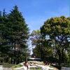 24/100　 『橘公園　花時計』