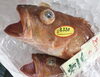 「魚魚市場鮮魚コーナーおすすめは「伊勢エビ」です♪」