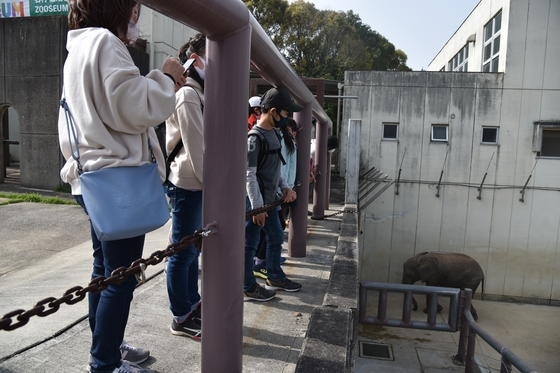 「休園日の特別な動物園　TOkuBEZOOの参加者を募集します！」