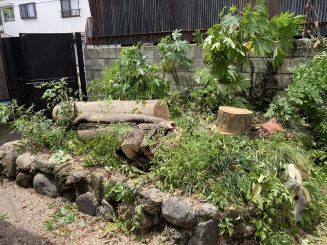 「岡山県新見市内　支障木特殊伐採」