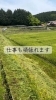 「GWのひとコマ｜麦畑の周りを草刈りしてきました」