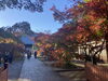 光明寺「京都紅葉紀行②日目」