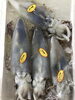 「魚魚市場鮮魚コーナーおすすめは「天然ぶり・天然ヒラス」です♪」