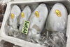 「魚魚市場鮮魚コーナーおすすめは『レンコ鯛』です♪」