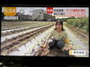 とても優しいスタッフさん🎤「☆カラフル野菜の小山農園『newsイット！』無事にオンエア📺☆」