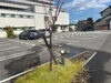 「『虹』って、ちょっとテンション上がりませんか？」