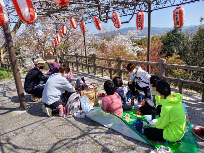 岡山公園でおやつを食べました！「3月の余暇活動の様子をお伝えします(^ー^)」