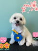 「Dog salon mofu mofu 余市町」