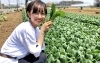 西船橋の小松菜畑に女神が舞い降りた こまつなう 開催中 ハッシュタグ投稿でプレゼントも 船橋トピックス 身近にあるニュースを日々お届け まいぷれ 船橋市