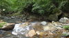 だいぶ水量が減ってきてます。「大井野川が暖かい」
