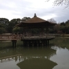 ＧＷですねえ。