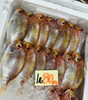「西海物産館・魚魚市場鮮魚コーナーおすすめは「キビナゴ入荷してます」です♪」