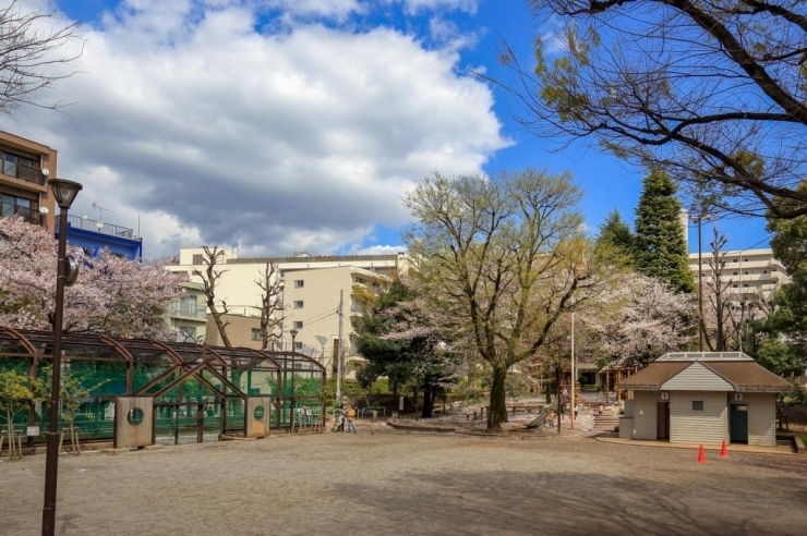 広場　画面左はスポーツコーナー、右奥は樹木に囲まれたエリア