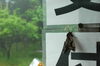 「大雨でもキャンプ・・・！」