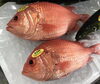 「魚魚市場鮮魚コーナーおすすめは「いわし・のどぐろ」です♪」