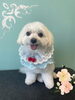 「Dog salon mofu mofu　余市町」
