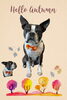 「Dog salon mofu mofu　余市町」