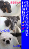 「今日のマイクロバブルでいい気持ち～」
