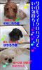 「今日のマイクロバブルでスッキリさ～ん」