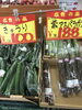 「本日特売日」