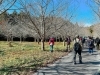 羅生門さくら公園内 桜はまだだけど鳥達がいたよ「バードウォッチングに参加しました！」