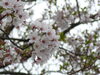 「ふり返り」