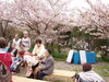 「✿お花見✿　　　　有料老人ホーム　　交野　　　デイサービス」