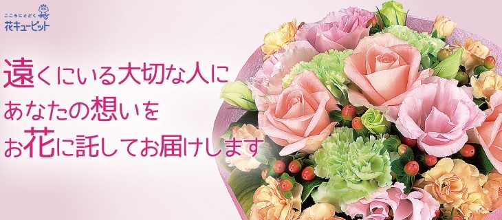 黒部 入善 朝日 まいぷれ