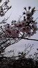 「☆今週のご予約可能なお時間☆」