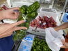 ピーマンの詰め放題！こんなにたくさんで130円！「深緑夏油夏祭り2022ーお出かけ編ー」