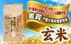 玄米