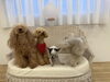 リズくん回転しないでよぉ　by豆太「ましゅまろ幼稚園🐾　パート２」
