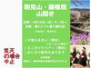 「春のトレッキング、おすすめスポット！桜とカタクリが見頃を迎えた小出公園に行ってきました！」