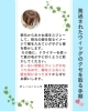 50代からの女性の薄毛のお悩みをウィッグで解決する〈美人ウィッグ 