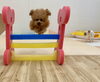 くまくんジャンプ💨「ましゅまろ幼稚園🐾」