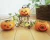 ハロウィン楽しみましたか?「寒い時期に備えていきましょー🍄」