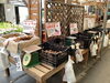 野菜芋「春の野菜苗、販売スタートしました！」