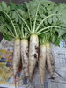 「ベジトラグ野菜、収穫～☆そして実食😋」