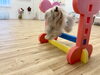 リズくんジャンプ💨「ましゅまろ幼稚園🐾パート２」