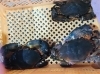 「魚魚市場鮮魚コーナーおすすめは「エビスダイ・マングローブガニ」です♪」